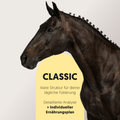 Schwarzes Pferd mit Text zur Classic Futterberatung
