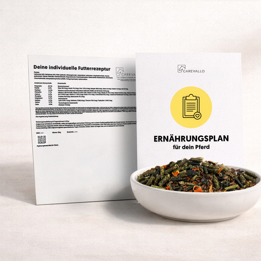 Unterlagen und Inhalte der Futterberatung Classic dargestellt