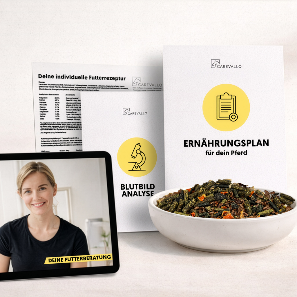 Unterlagen und Inhalte der Futterberatung Premium dargestellt